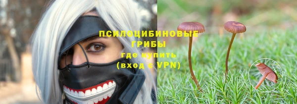 сатива Аркадак