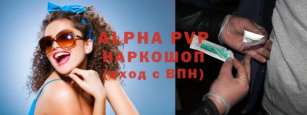 сатива Аркадак