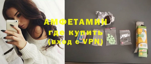 сатива Аркадак