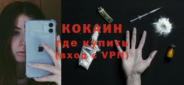 сатива Аркадак