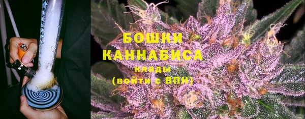 сатива Аркадак