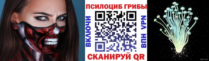 Псилоцибиновые грибы Psilocybine cubensis  сколько стоит  Волгодонск 