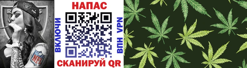 МАРИХУАНА SATIVA & INDICA  нарко площадка как зайти  Волгодонск 